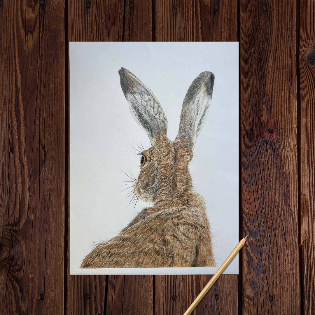 ‘I’m all Ears’ Hare print