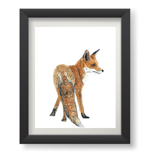 'Foxy Friend' Print