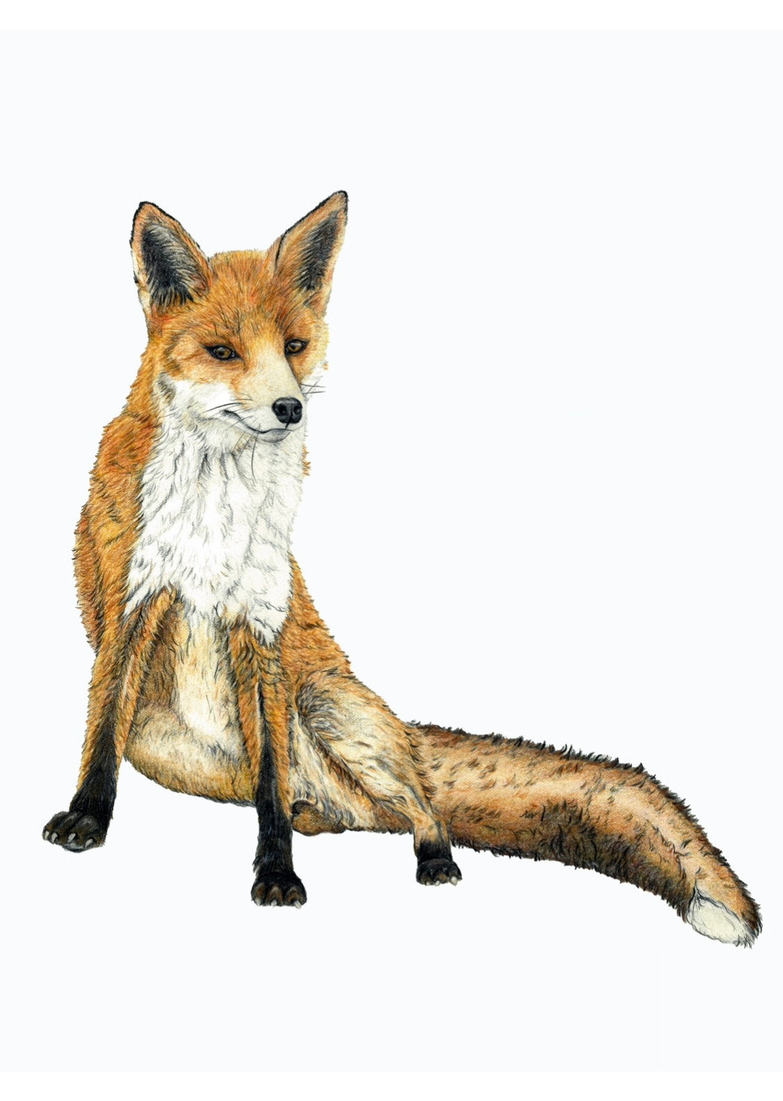 ‘Foxy Lady’ Print