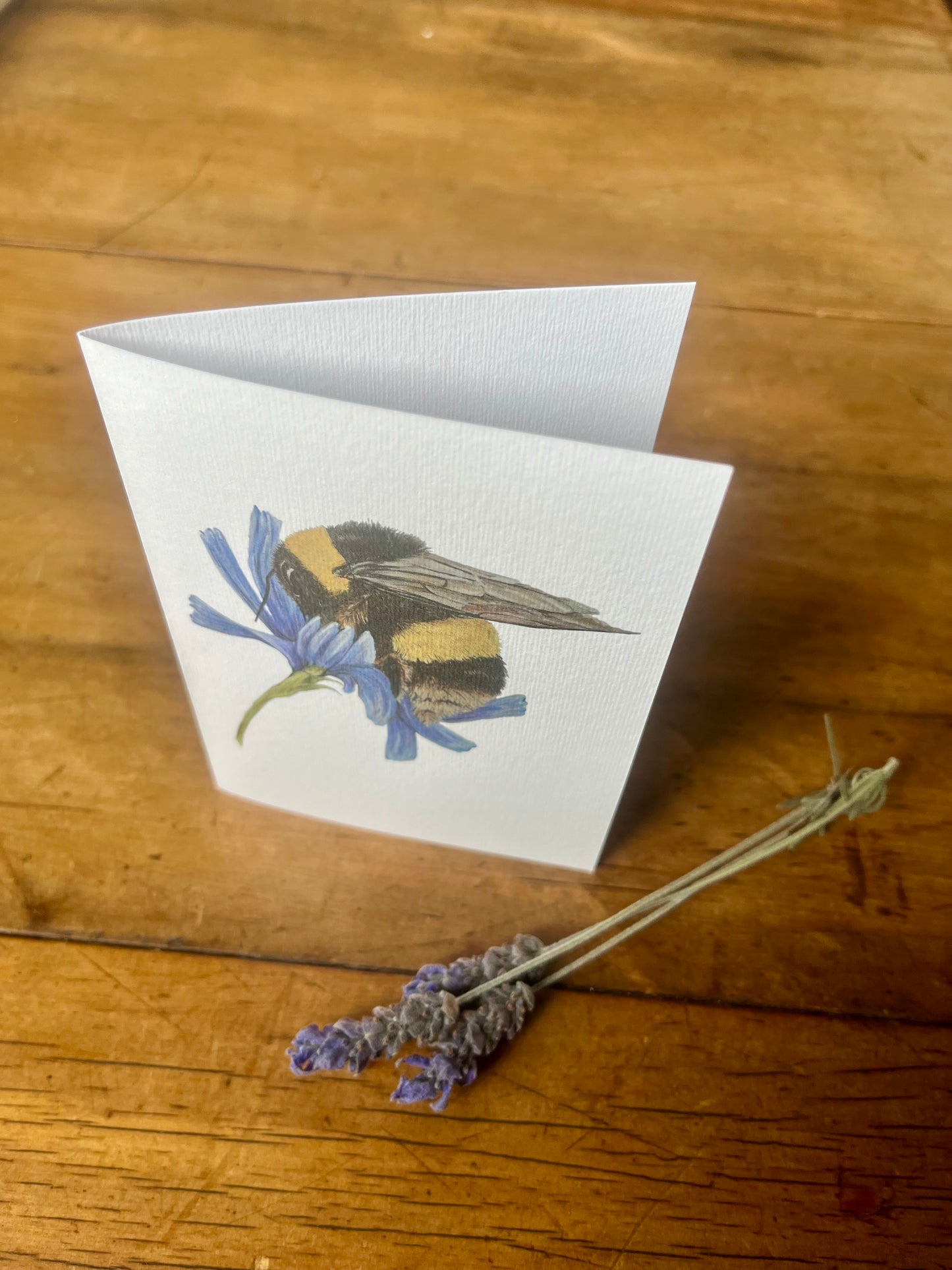 Greeting Cards