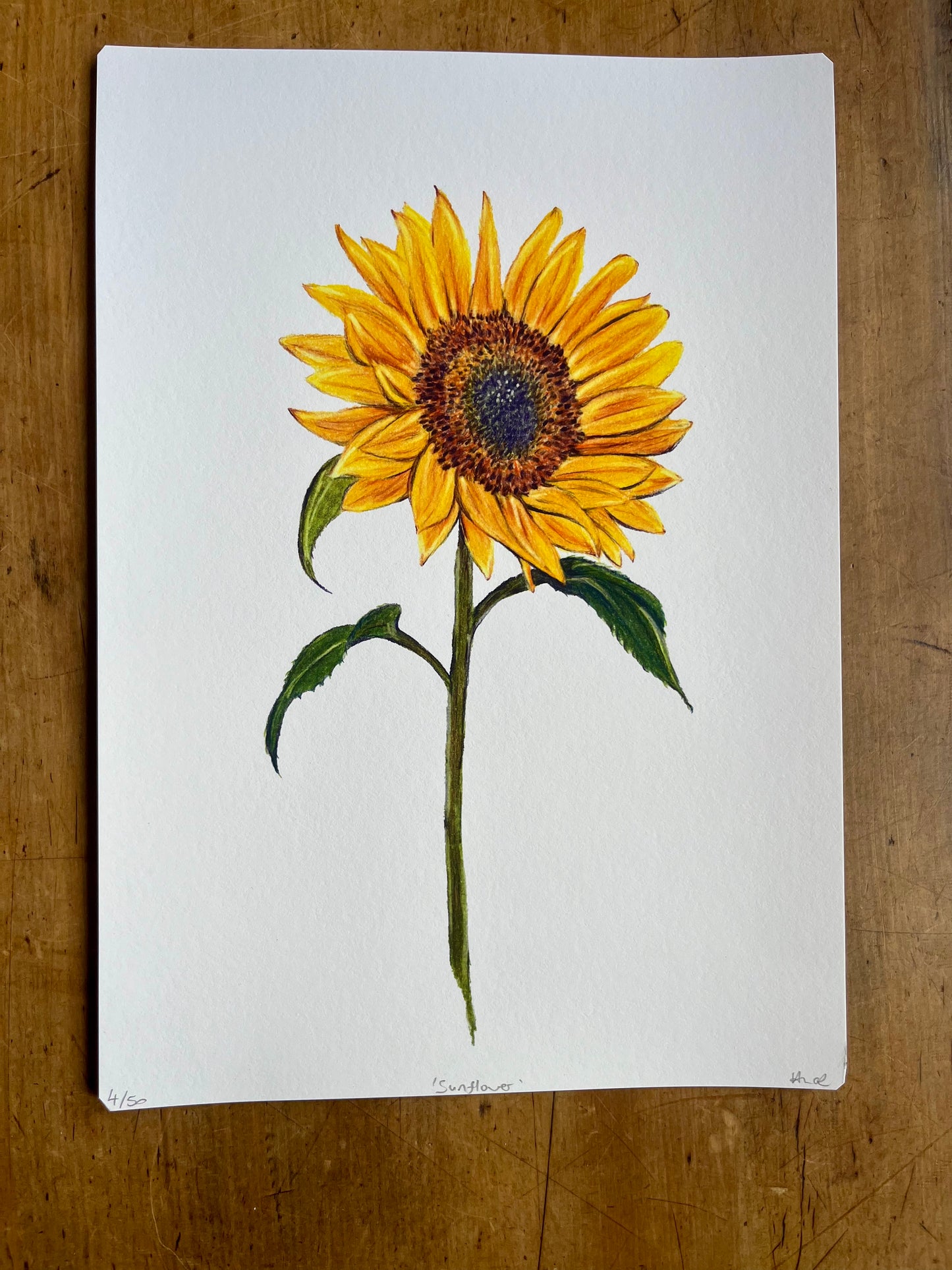 'Sunflower' Print