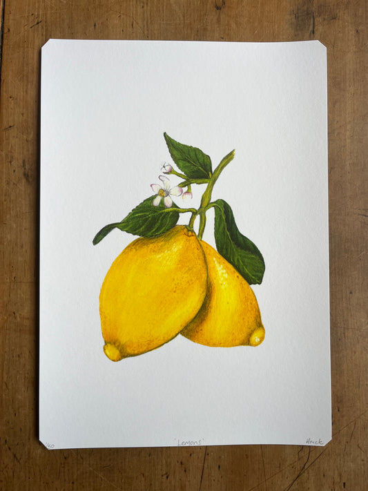 'Lemons' Print