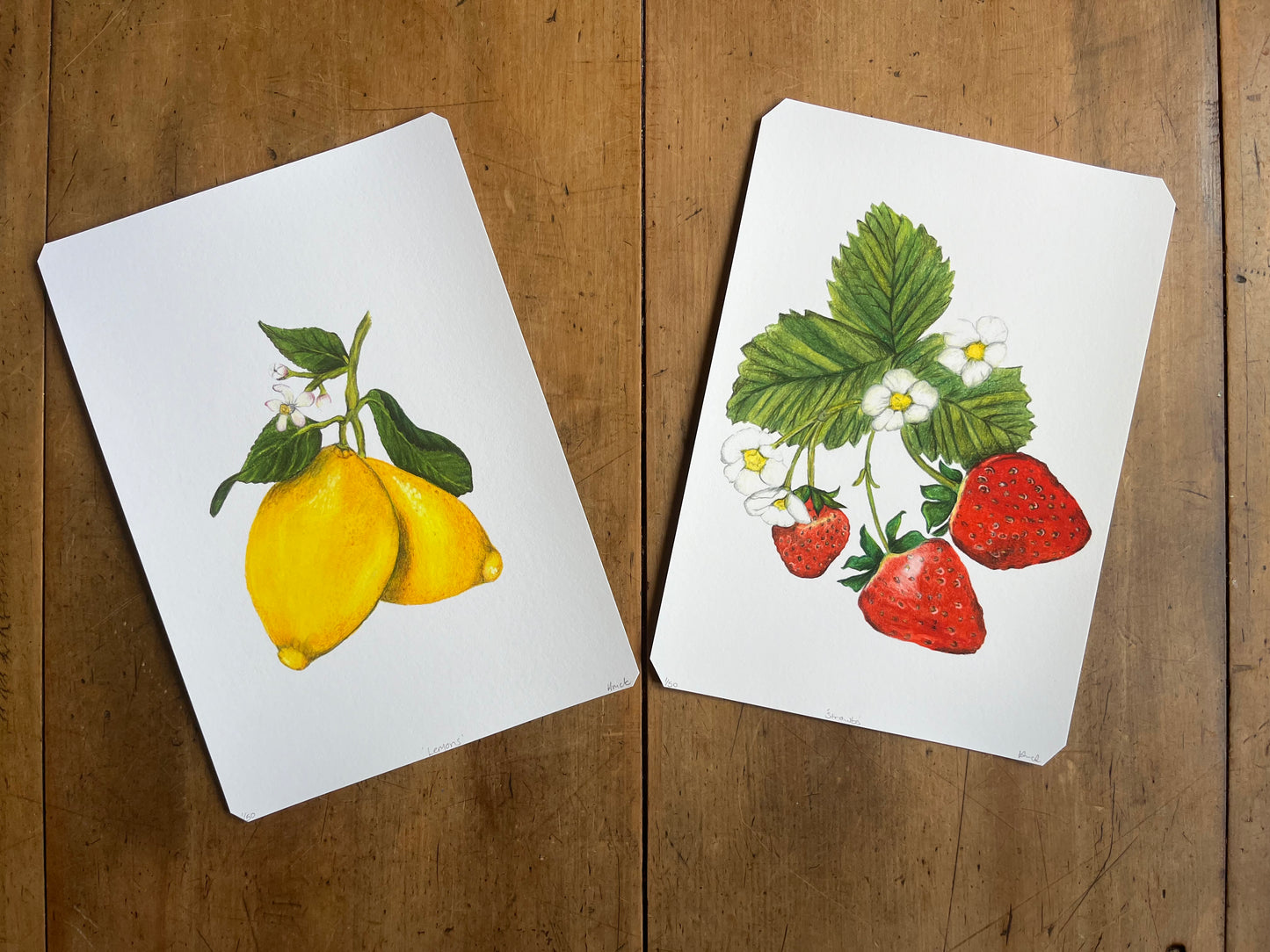 'Lemons' Print